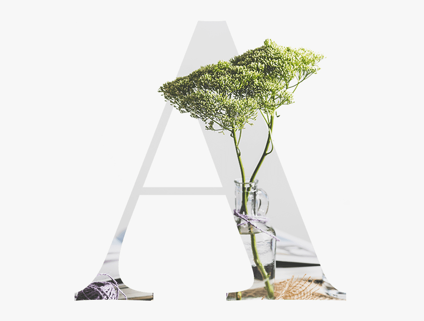 Single Image - Glass, HD Png Download