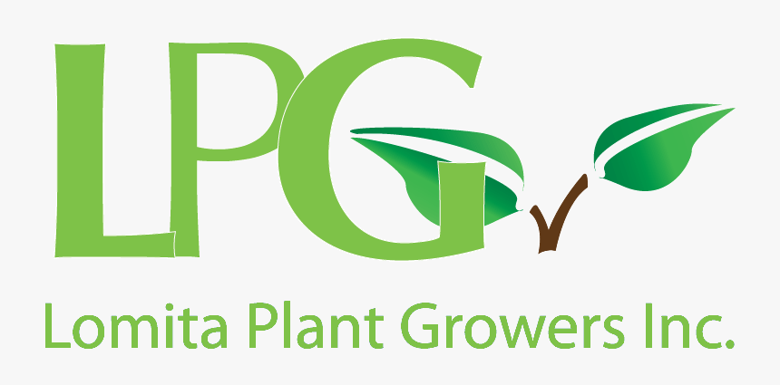 Lpg, HD Png Download