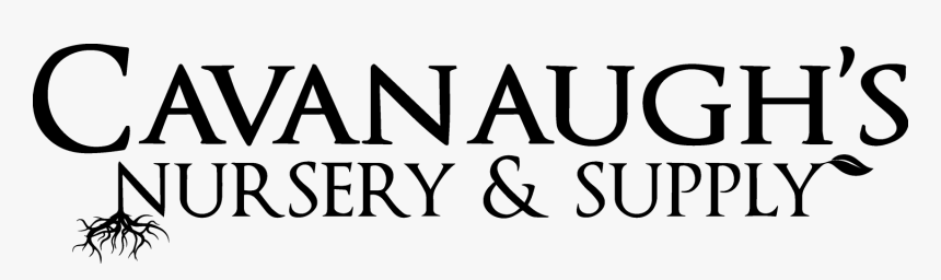 Cavanaugh S Nursery And Supply - And, HD Png Download