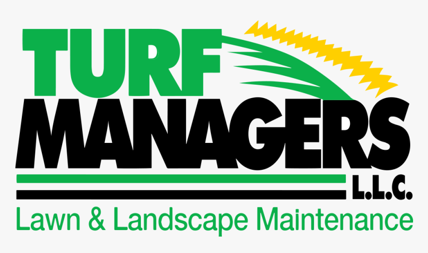 Rex I Love To Boogie, HD Png Download