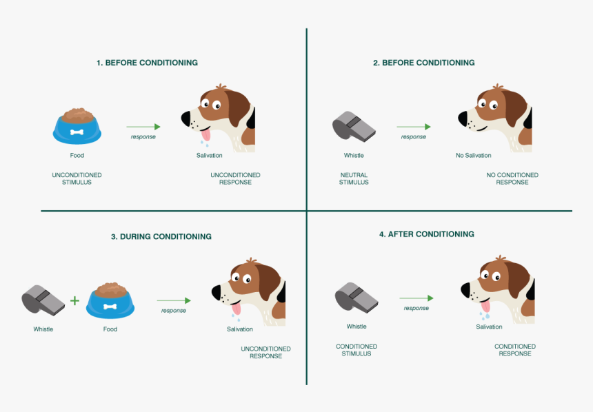 The Pavlovian Model - Harrier, HD Png Download