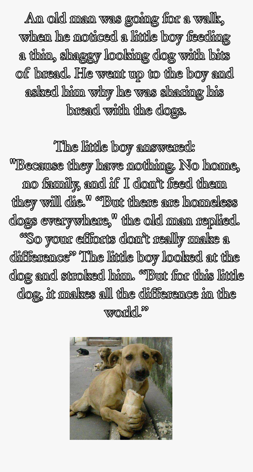 Fond It On Face Book - Small Greek Domestic Dog, HD Png Download