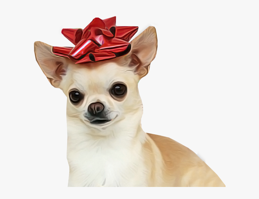 Chihuahua Dog For Sale Transparent Background - Chihuahua Png, Png Download
