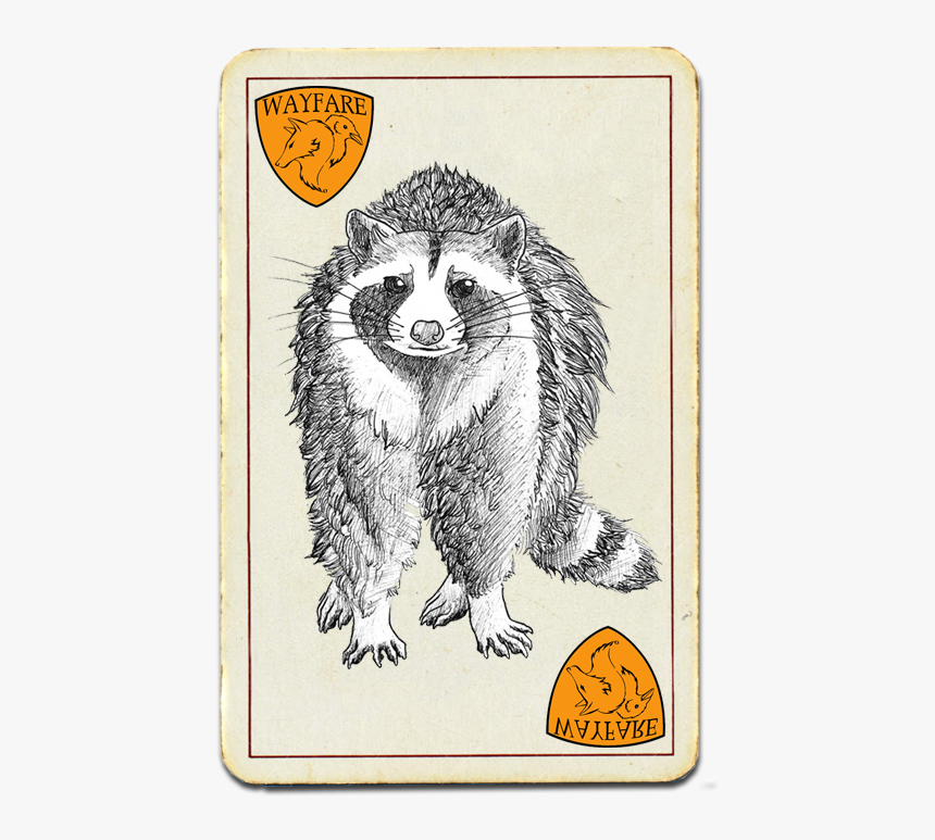 Drawing Of A Racoon - Hog Nosed Skunk, HD Png Download