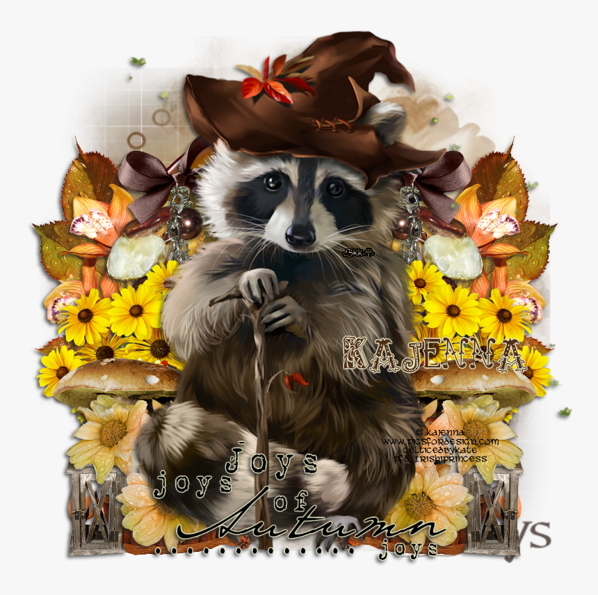 Racoon Ptu Tut , Png Download - Procyon, Transparent Png