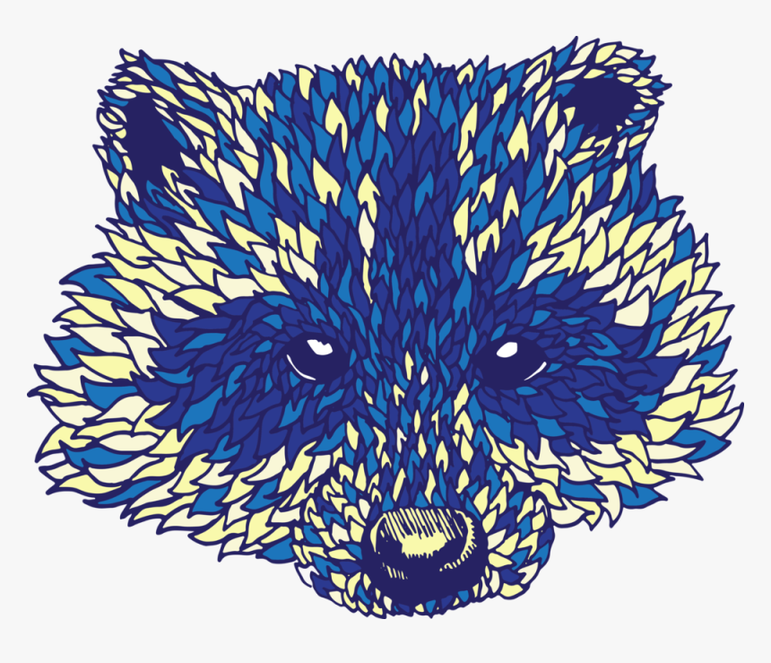 Racoon - Illustration, HD Png Download
