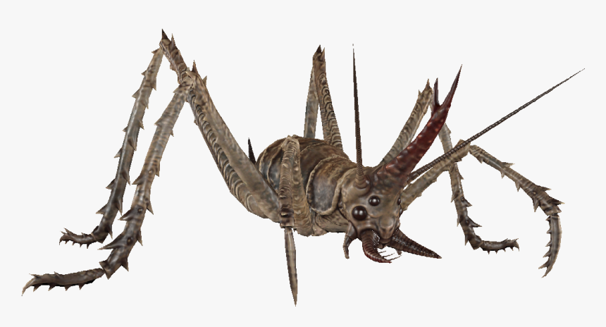 Cave Cricket Black - Fallout 4 Cave Cricket, HD Png Download