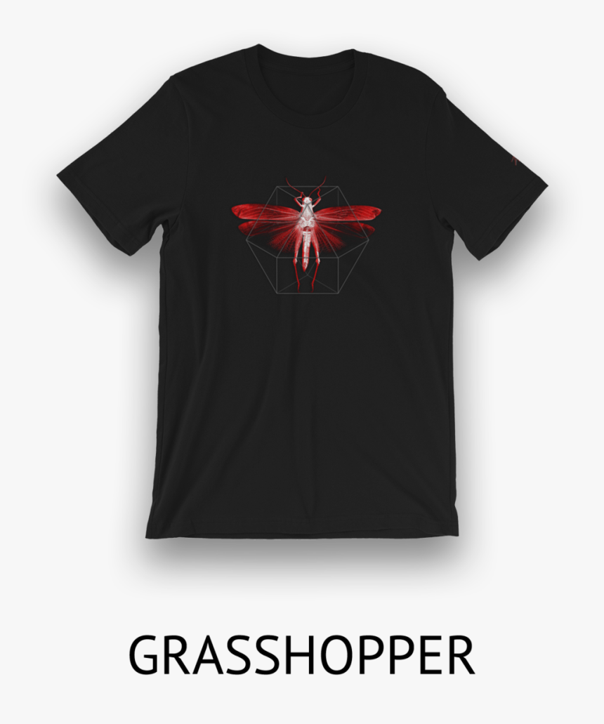 Grasshopper Png, Transparent Png