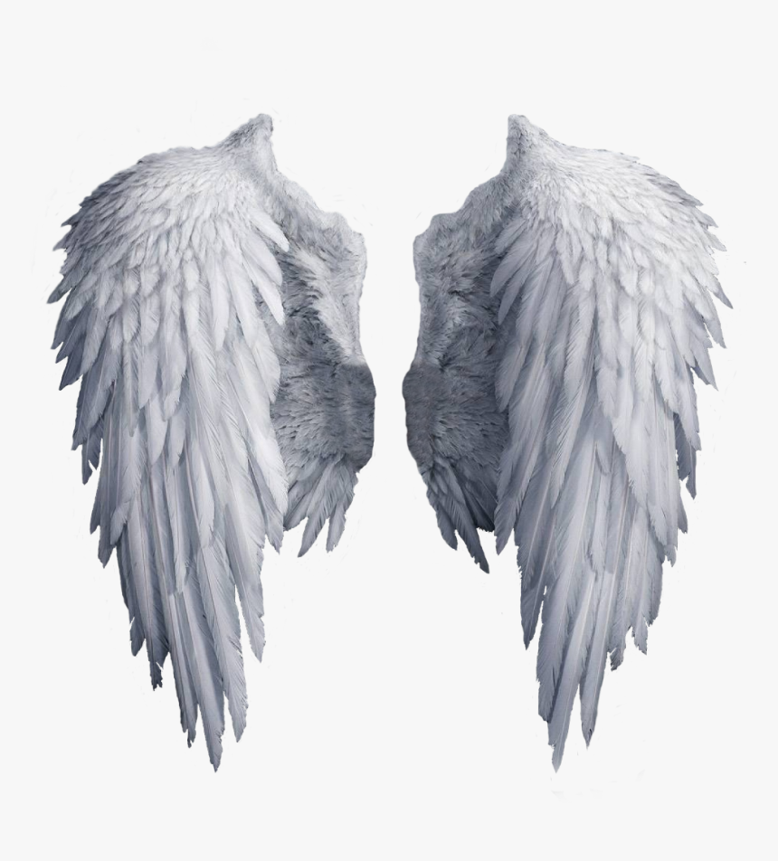 Transparent Background Angel Wings Png, Png Download