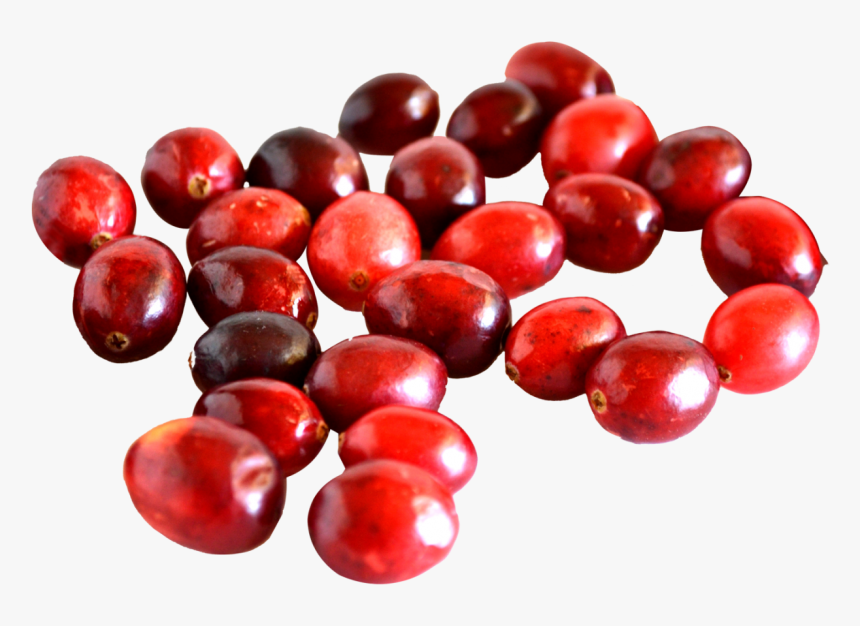 Cranberry Png Image - Difference Between Cranberry And Cherry, Transparent Png