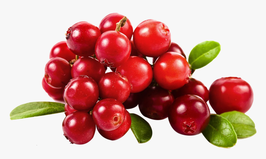 Thumb Image - Transparent Cranberry Png, Png Download