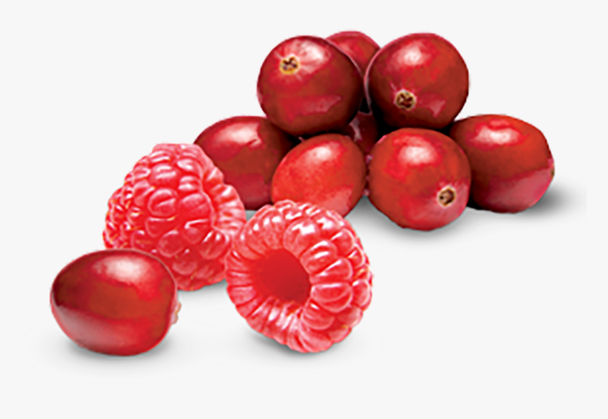 Cranberry And Raspberry Tart Yogurtland, HD Png Download