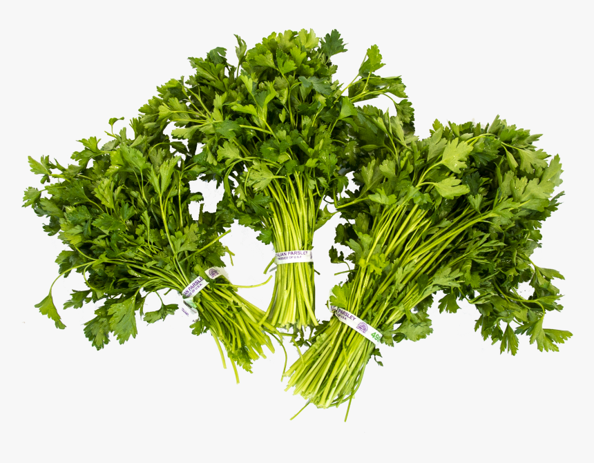Parsley, HD Png Download