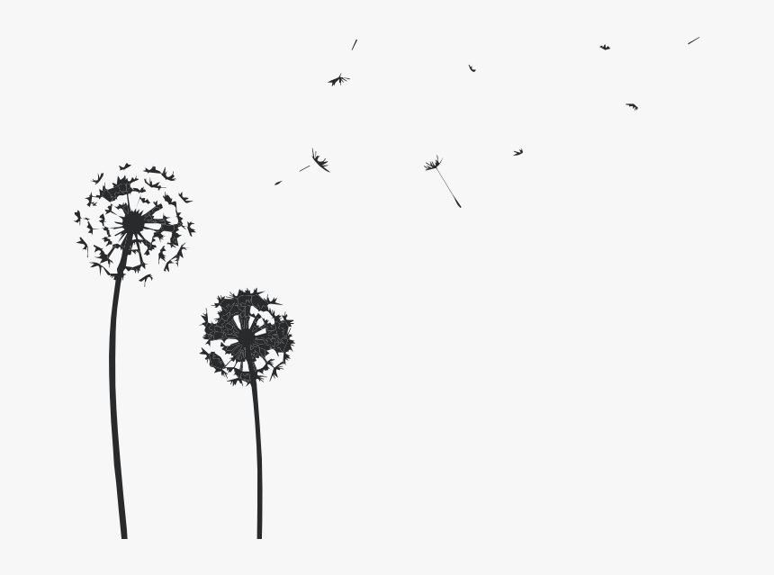Transparent Dandelion Clip Art - Silhouette, HD Png Download