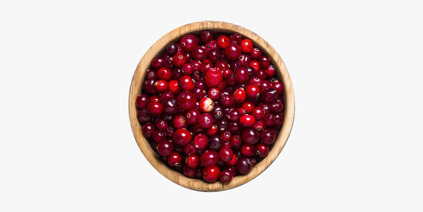 Lingonberry, HD Png Download