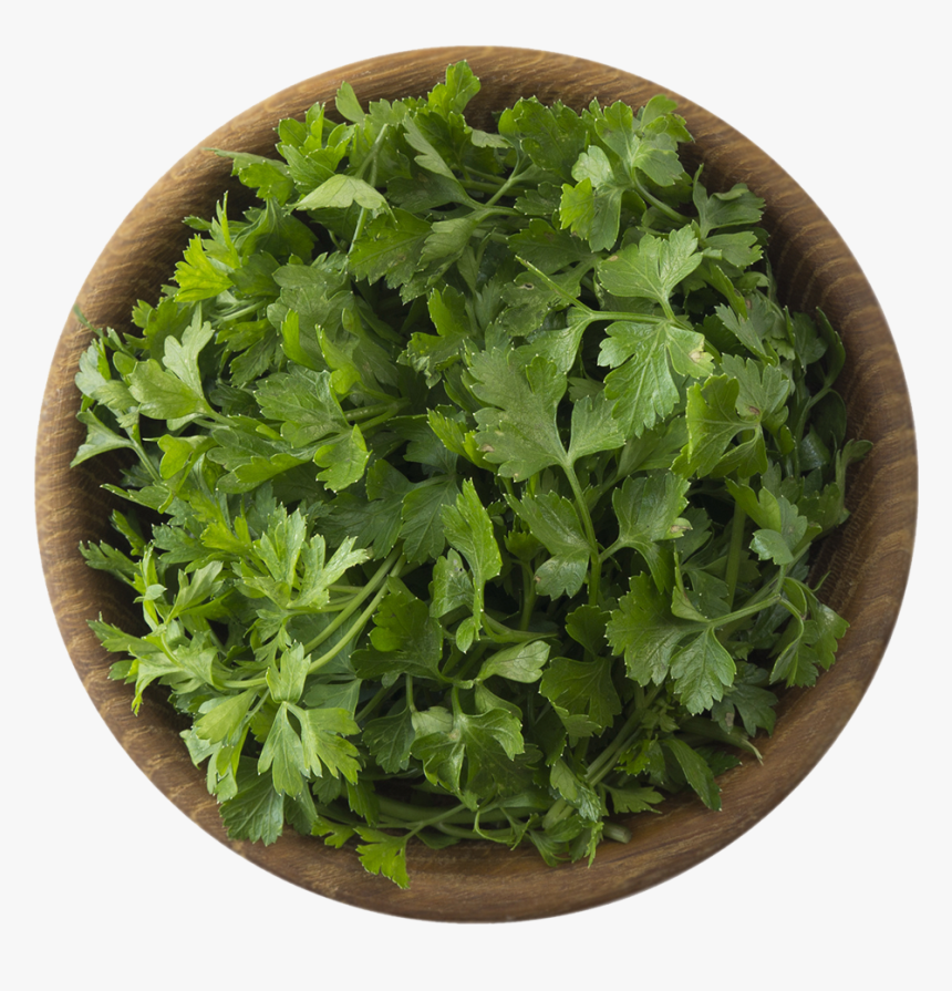 Parsley, HD Png Download