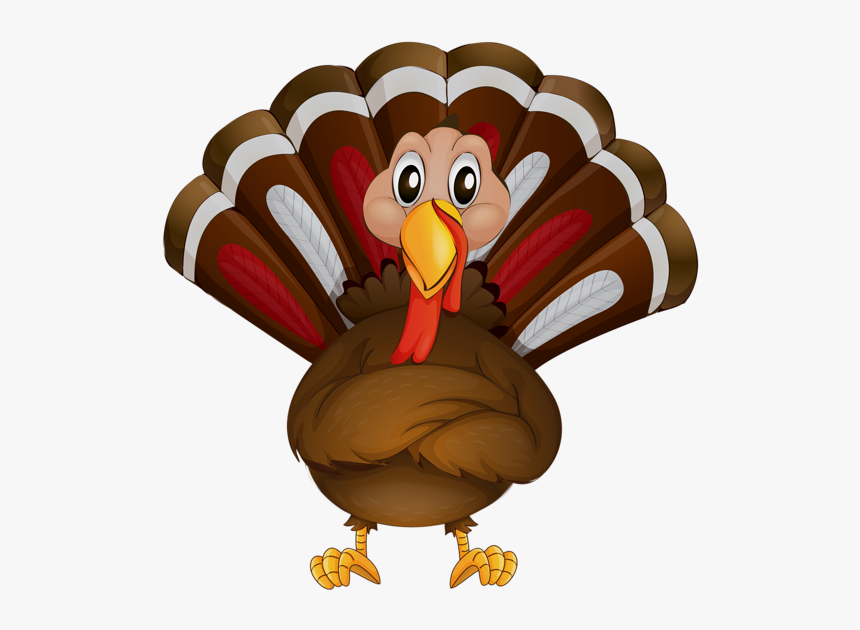 Turkey Bird Png - Transparent Background Thanksgiving Clipart, Png Download