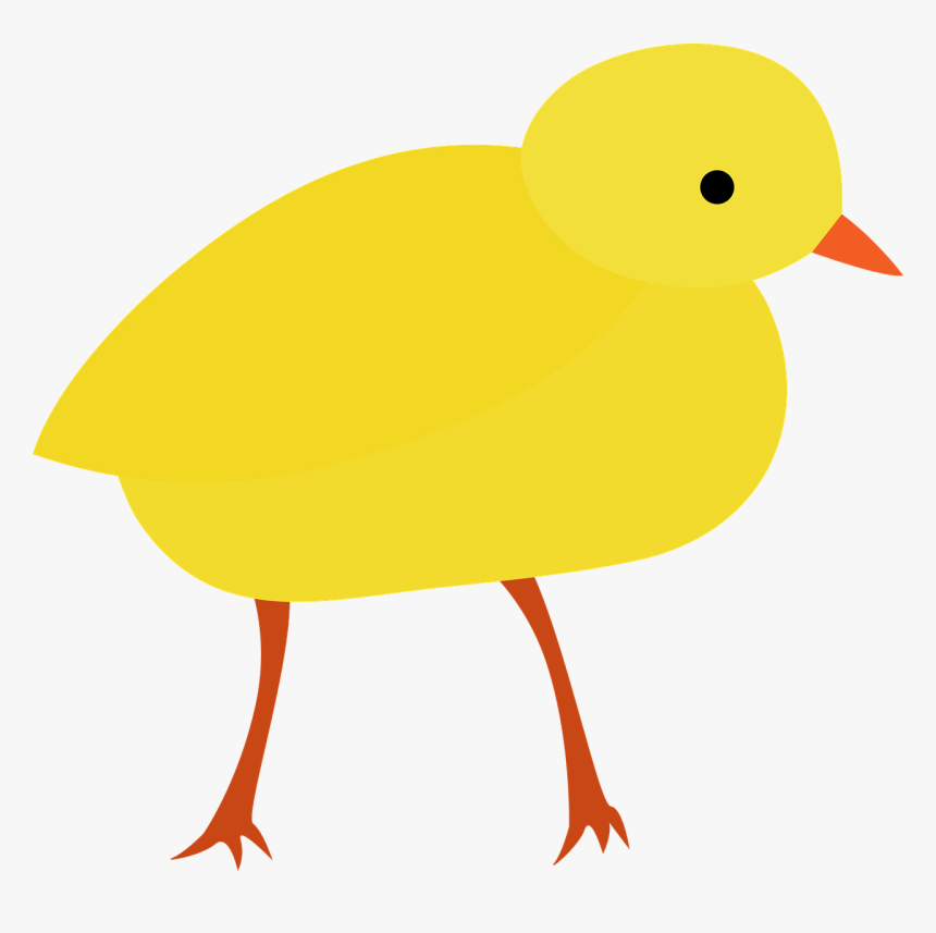 小 鸡 卡通, HD Png Download