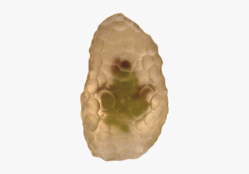 Custard-apple, HD Png Download