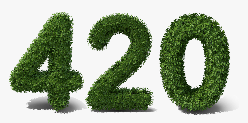 Grass, HD Png Download