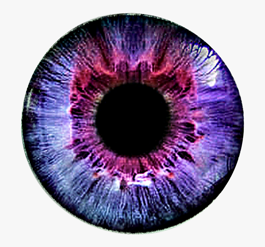 Circle, HD Png Download