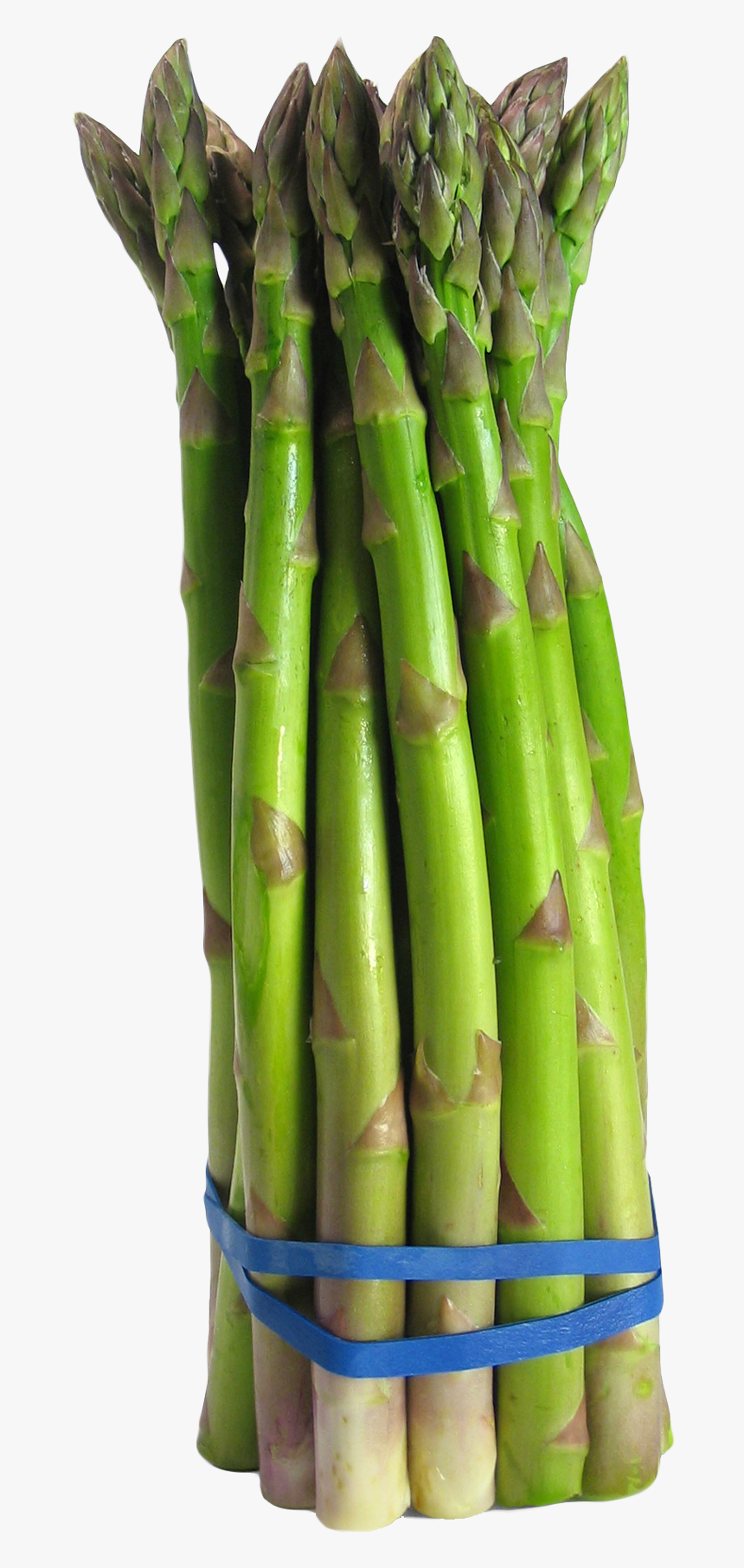 Asparagus Png, Transparent Png