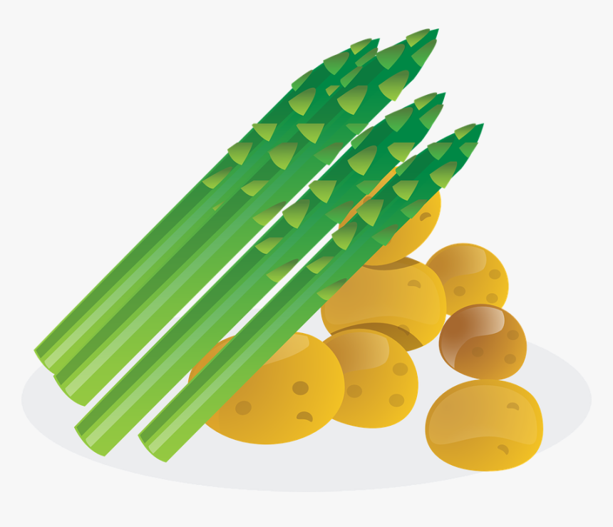 Transparent Png Asparagus Clipart, Png Download