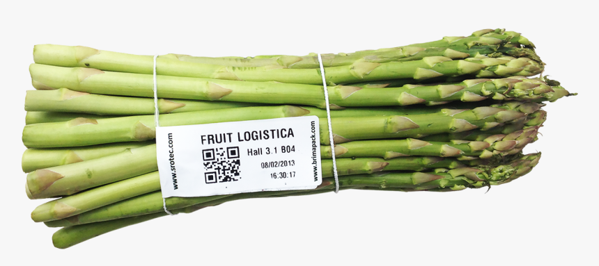 Garden Asparagus , Png Download - Welsh Onion, Transparent Png