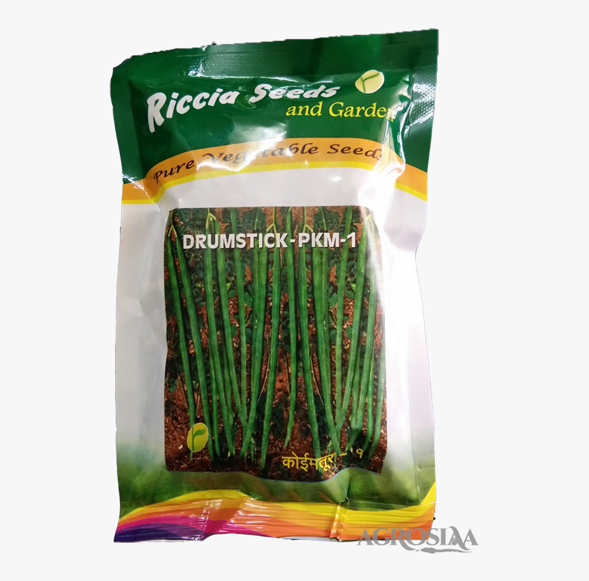Asparagus , Png Download - Welsh Onion, Transparent Png