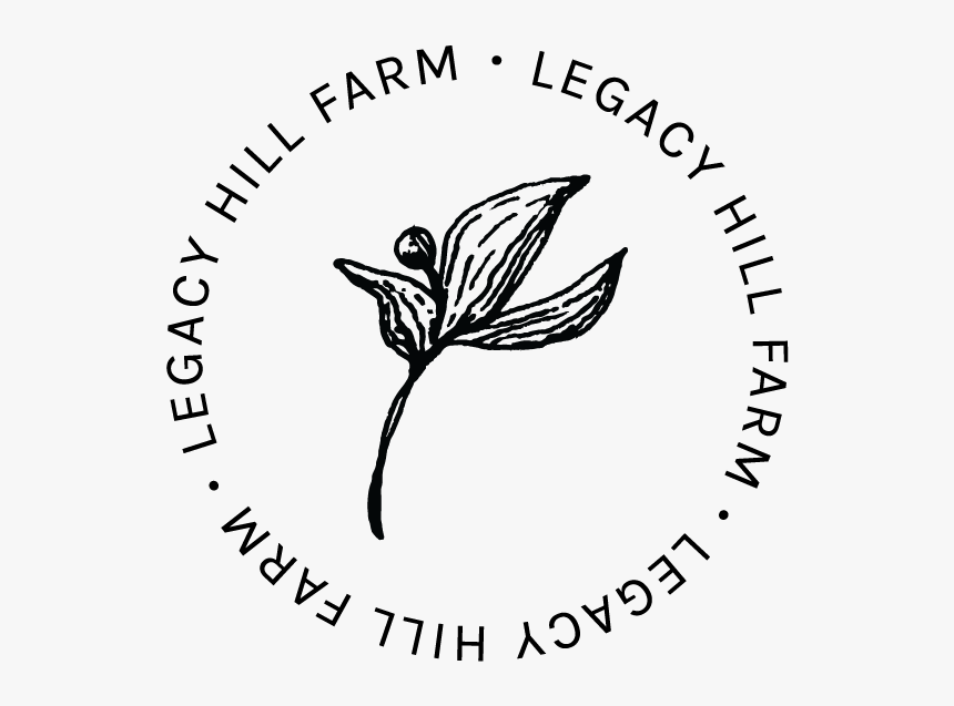 08 Submark@3x - Illustration, HD Png Download