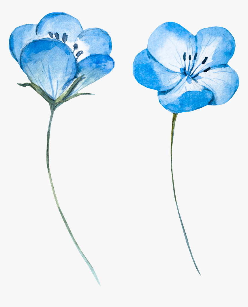 Blue Watercolor Flower Png - Blue Watercolor Flower Vector, Transparent Png