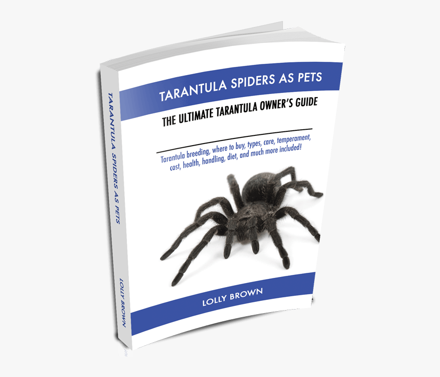 , Table Of Contents, Tarantula Spiders - Pet Tarantula, HD Png Download