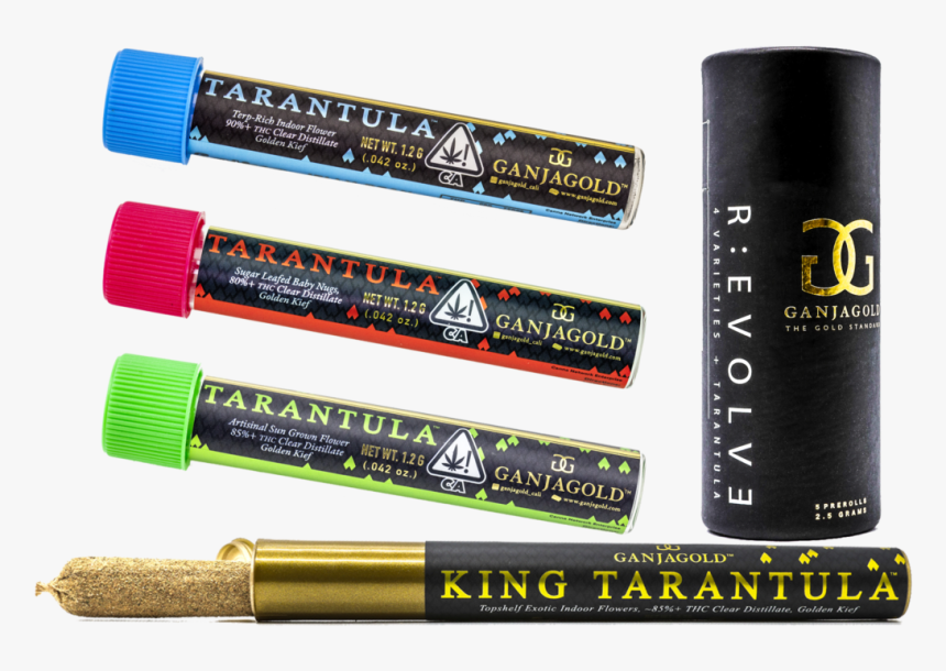 Eye Liner, HD Png Download