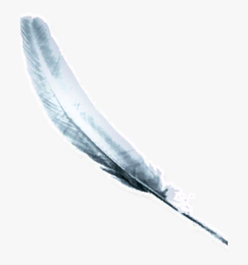 Angel Wings - Darkness, HD Png Download