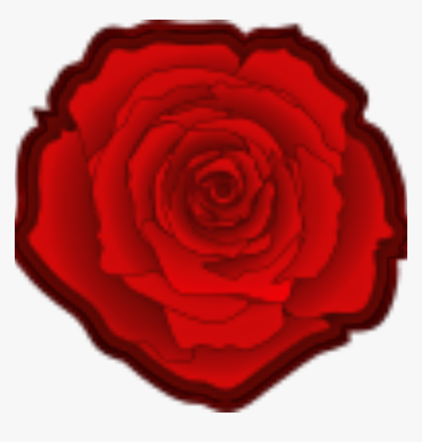 Garden Roses, HD Png Download