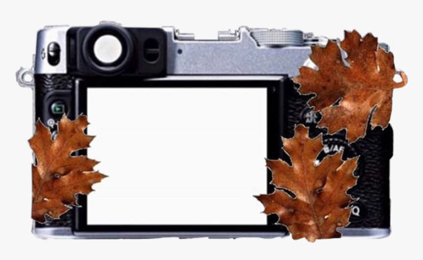 #spooky #fall #fallaesthetic #autumn #overlay #png - Fujifilm X20, Transparent Png