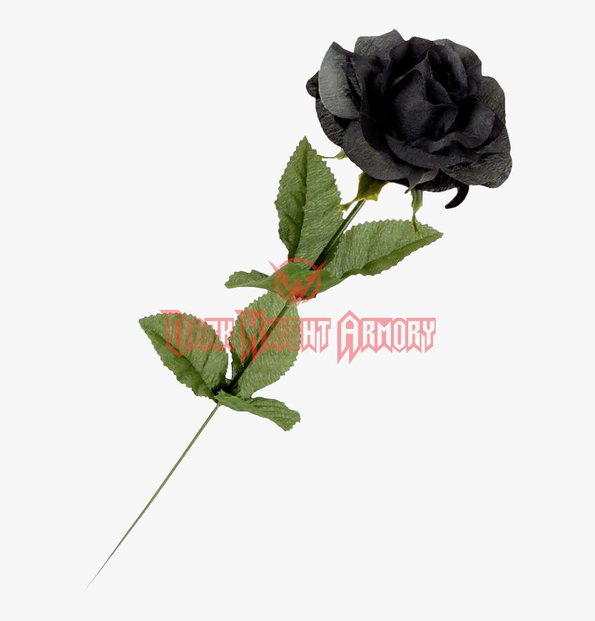 Black Roses Png , Png Download, Transparent Png