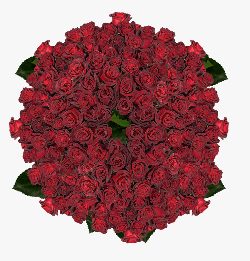 Garden Roses, HD Png Download