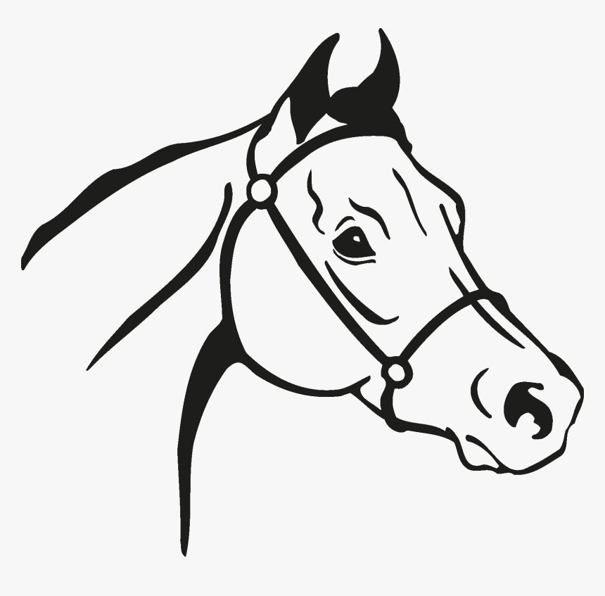 Horse Head Silhouette Png - Horse Head Silhouette Pmg, Transparent Png