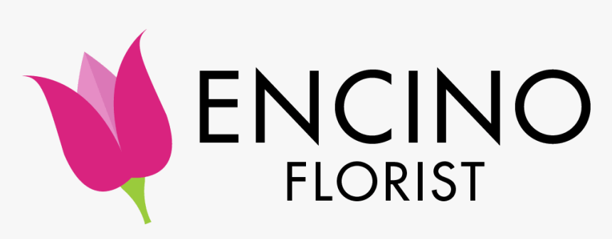 Encino, Ca Florist - Wine Glass, HD Png Download