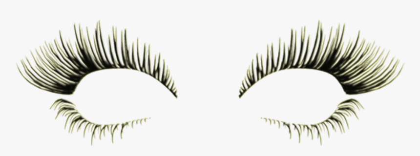 Lashes, Diva Slimming And Aesthetics - Eyelash Extensions, HD Png Download