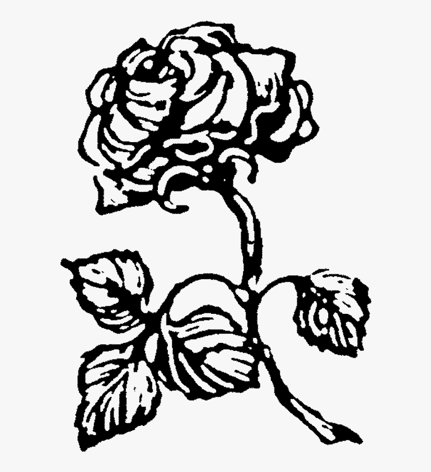 Rose Stamp Png, Transparent Png