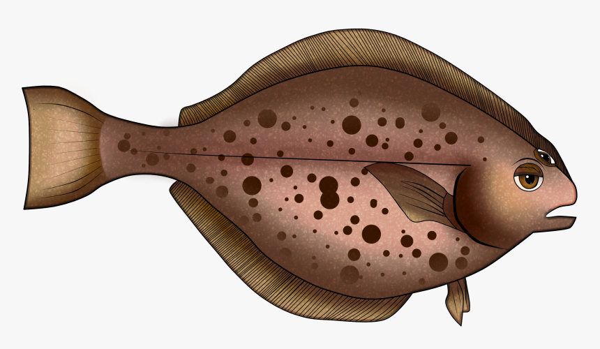 No Fishes Were Harmed In The Making Of This Game - Sole, HD Png Download