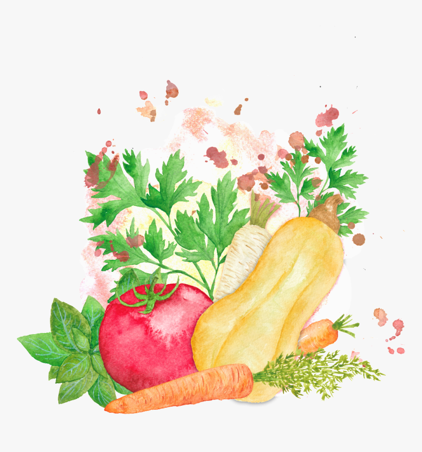 Colorful Hand Drawn Cartoon Vegetable Kitchen Transparent - 蔬菜 手繪, HD Png Download