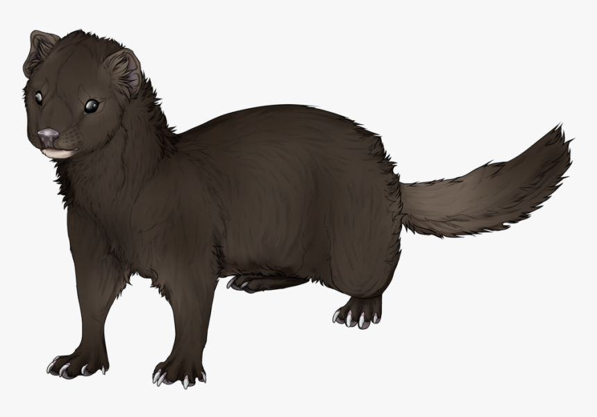 Mink Ferret Drawing Clip Art - Mink Png, Transparent Png