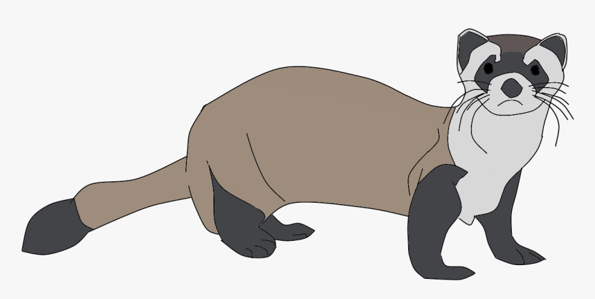 Ferret Png Clipart - Black Footed Ferret Clipart, Transparent Png