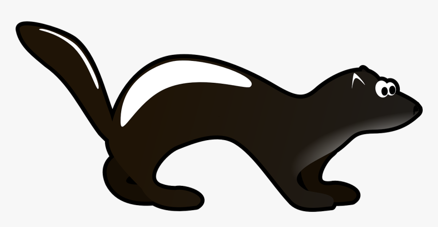 Ferret Clip Art - Ferret, HD Png Download
