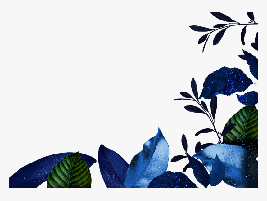 Leaves3, HD Png Download