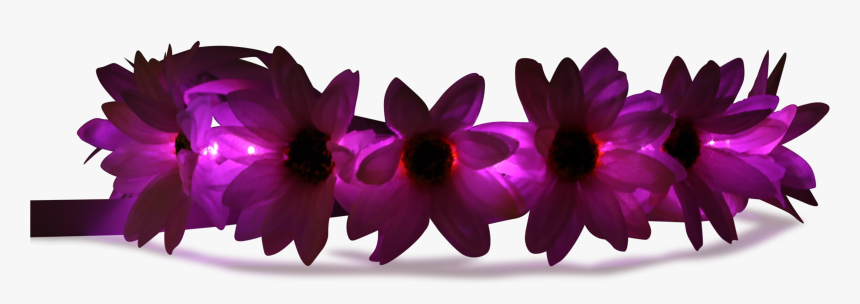 Pink Glowing Flower Crown Transparent, HD Png Download