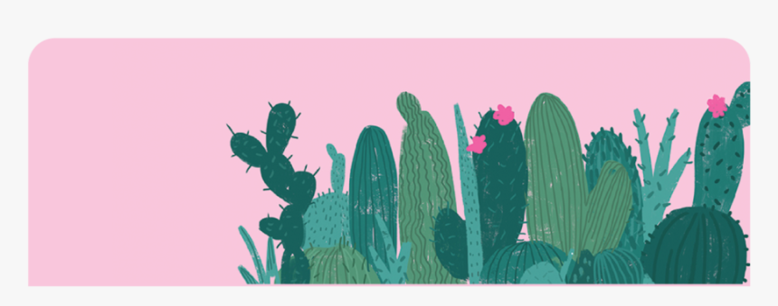 Cactus, HD Png Download